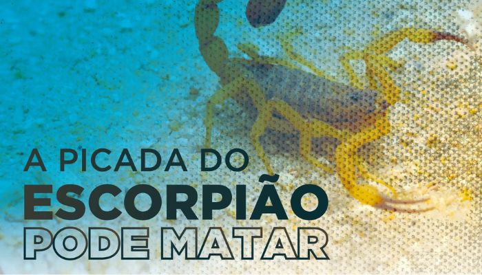 Foto: SESA-PR Saúde distribui material que orienta a população sobre acidentes com escorpiões